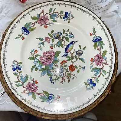 Buy Vintage Aynsley Pembroke  Dinner Plate (10.5  Dia.) • 6£