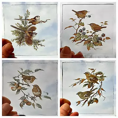 Buy Stained Glass 4 Bird Pieces Kiln Fired Robin, Wren, Chaffinch, Long Tailed Tit • 70£