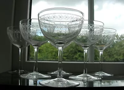 Buy Antique - Six  Star Engraved  Champagne Glasses - C1900 • 160£