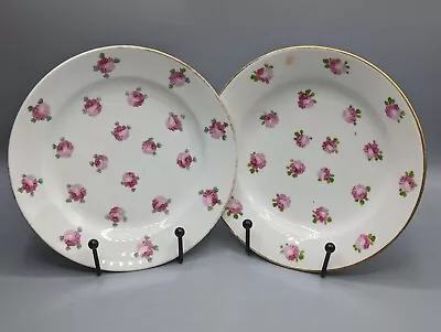 Buy Swansea Porcelain Pair Plates, Sir Leslie Joseph Collection, Pink Rose, Welsh  • 375£