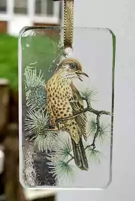 Buy Suncatcher Thrush Bird Stained Glass Stain Gift Decoration Window Birds • 20£