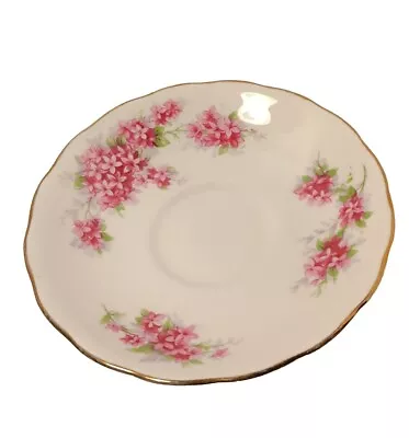 Buy VTG Royal Vale English Bone China Floral Pattern With Gold Trim Scalloped Rim • 8.39£