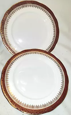 Buy 2x Duchess Bone China Winchester Burgundy & White Dinner Plates • 14.99£