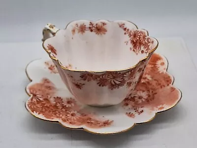 Buy Cup And Saucer Small Wileman Foley Bone China Daisy Shape 283632  C.1890 • 39.14£