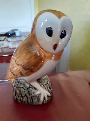 Buy Quail Pottery, Barn Owl. • 5£