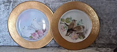 Buy Royal Doulton Fine Bone China, Hand Painted Plate. • 40£