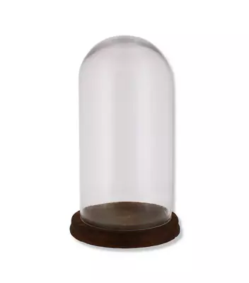 Buy Glass Bell Jar Oval Cloche On Dark Wood Base Display Stand Decoration Rose 33cm • 24.95£