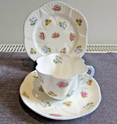 Buy Lovely Shelley Dainty Fluted Floral Tea Trio Cup Saucer Plate Blue Rims 12424 • 24£