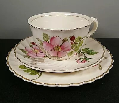 Buy Vintage Clarice Cliff Polly Trio Cup Saucer Plate Set Flower English 1940s • 44.10£