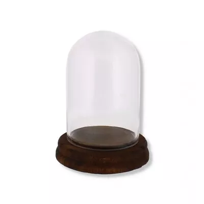 Buy Glass Display Dome Bell Jar Cloche Wooden Base Figure Action Gift Table Decor • 13.95£
