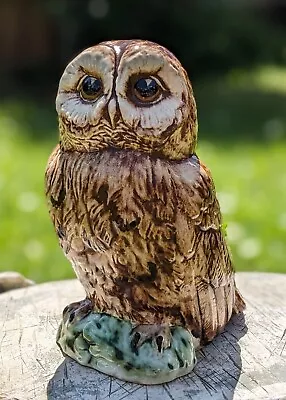 Buy Scotia Ceramics Isle Of Lewis Ceramic Owl Figurine • 12£