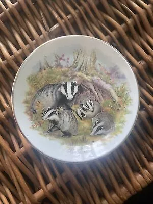 Buy Vintage Royal Vale Fine Bone China Badger Saucer Plate • 15£