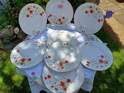 Buy 8 X Colclough Poppies Dinner Plates 10  • 22£