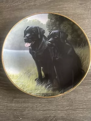 Buy Sporting Companions - Franklin Mint Porcelain Decorative Plate By Nigel Hemming • 3.50£