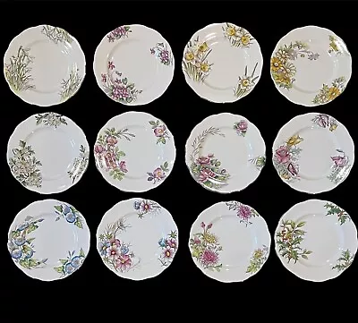 Buy Vtg Complete Set 12 Royal Albert Flower Of Month England Bone China Salad Plates • 265.60£