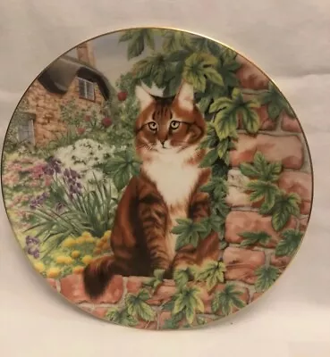 Buy Silent Watchers - Long-haired Tabby Cat - Coalport Fine Bone China Plate - Good • 4.99£