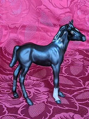 Buy Royal Doulton 'Black Beauty' Foal Horse Dad Grandad Uncle Fathers Day Birthday • 12.45£