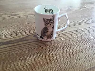 Buy Francien’s Cats Fine Bone China Mug 1996 Duchess  • 3.90£