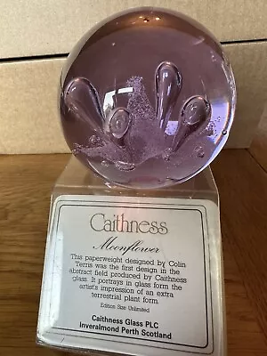 Buy Caithness Moonflower Paperweight • 7£