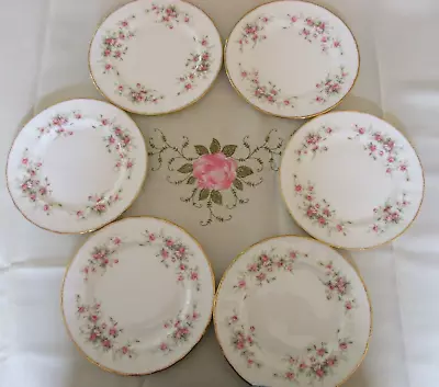 Buy Set Of 6 Paragon Victoriana Rose Large  20cm Tea Plates In Excellent Condition • 20£
