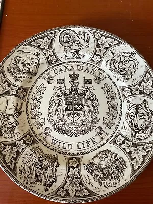 Buy Canadian Wild Life Plate Series 1 Wood And Son • 7£