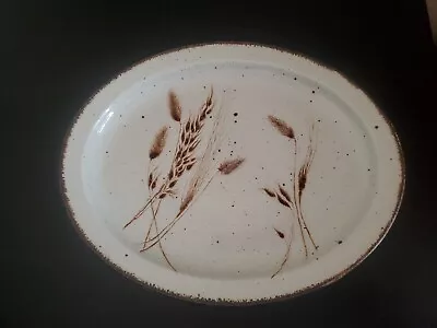 Buy Midwinter Stonehenge Wild Oats Large Oval Serving Platter 13.5 . • 12.99£