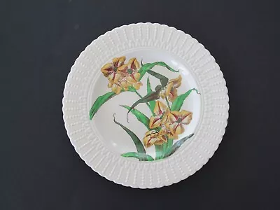 Buy Royal Cauldon Flower Series Luncheon Plate - Pattern 2474 • 18.64£