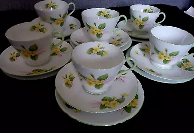 Buy Collectible Shelley Fine Bone China Cups Saucers Plates Primrose Pattern England • 99£