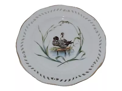 Buy Royal Copenhagen Flora Danica Luncheon Plate With Ducks - Antique • 291.23£