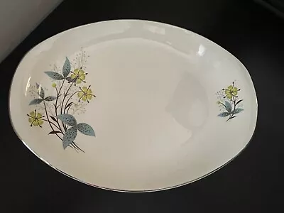 Buy Vintage British Anchor Midwinter Serving Platter Perfect Mid Century • 7.99£