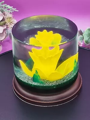 Buy Rare Caithness Paperweight.  Marie Curie 2010 Daffodil Appeal Presentation Piece • 200£