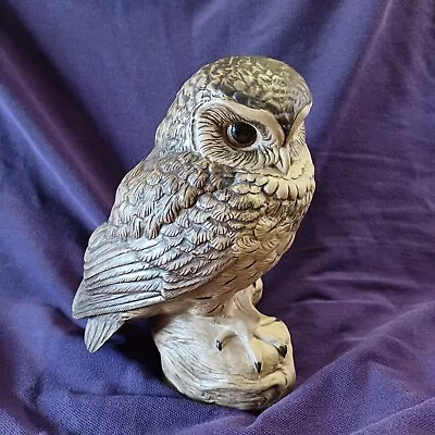 Buy Large Poole Pottery Stoneware Owl Signed By M/ • 1.04£