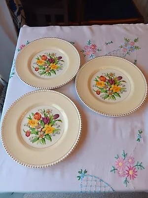 Buy Solian Ware Simpsons Potters, Cobridge Small Dinner Plates, Spring Flowers • 9.99£