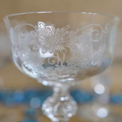 Buy Fostoria Daisy (Etched) Low Sherbet/Champagne Glasses (set Of 5) Vintage 1930s  • 27.03£