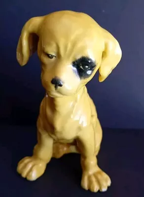 Buy Cute Austrian Pottery Yellow Dog With Eye Patch C1910 • 19.99£