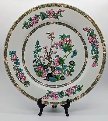 Buy Rare Discontinued 1970s Lord Nelson Pottery 'INDIAN TREE' Pattern Dinner Plate • 15£