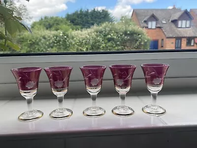 Buy Victorian Cranberry Etched Liquer  Drinking Glasses • 25£