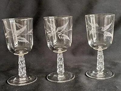 Buy Three Fern Etched Drinking Glasses • 24£