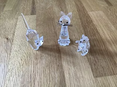 Buy Swarovski Crystal Animals, Cats. • 10£