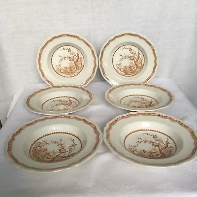Buy 6x Furnivals Quail 1913 Brown & White Soup Bowls 23 Cm Diameter  Made In England • 55£