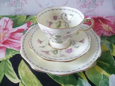 Buy Vintage Foley China Trio Tea Cup Saucer Plate Dwarf Geranium 3468 • 7£