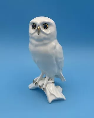 Buy Vintage Royal Osborne Owl White Porcelain Figurine Ornament TMR-06526 Bird • 13.50£