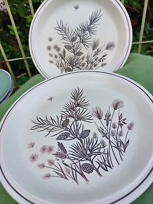 Buy Two Dinner Plates In The Pinewood Design. W H Grindley • 14£
