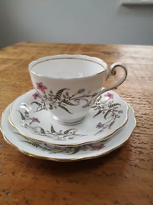 Buy Royal Standard Fine Bone China Teacup, Saucer And Side Plate. Perfect Conditioni • 12£