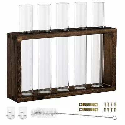 Buy Glass Planter Plant Terrarium Flower Vase In Wood Stand For Propagation Stations • 9.99£