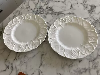 Buy 2 X Coalport/Wedgwood Countryware 10.75  Dinner Plates In VGC • 65£