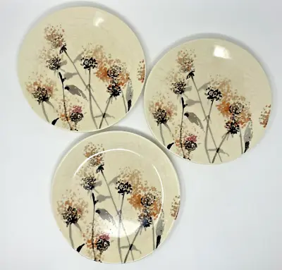 Buy Crate & Barrel 3 Stoneware 9  Salad Plates Luli Sanchez Wildflower Series • 25.15£