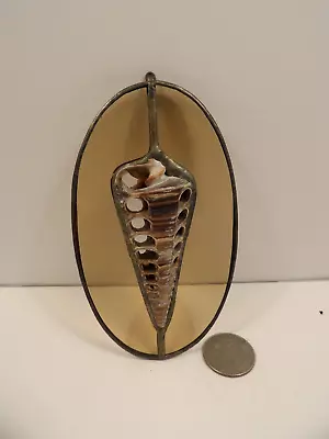 Buy Stain Glass Seashell 5 Inch Light Catcher • 14.91£