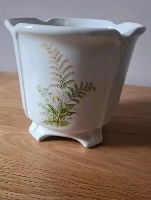 Buy Wade. Royal Victoria Pottery Staffordshire. Plant Pot Hide / Jardinaire  Ceramic • 7.99£