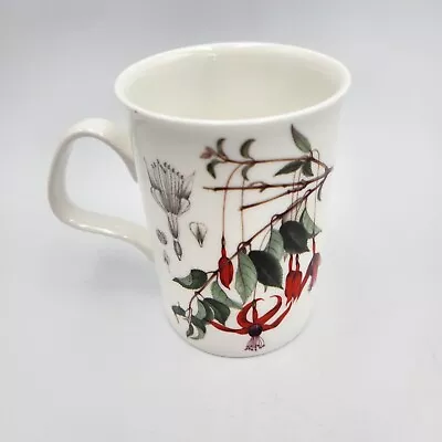 Buy Royal Botanic Garden Edinburgh Roy Kirkham Tableware England 2009 Latte Mug Cup • 7.41£